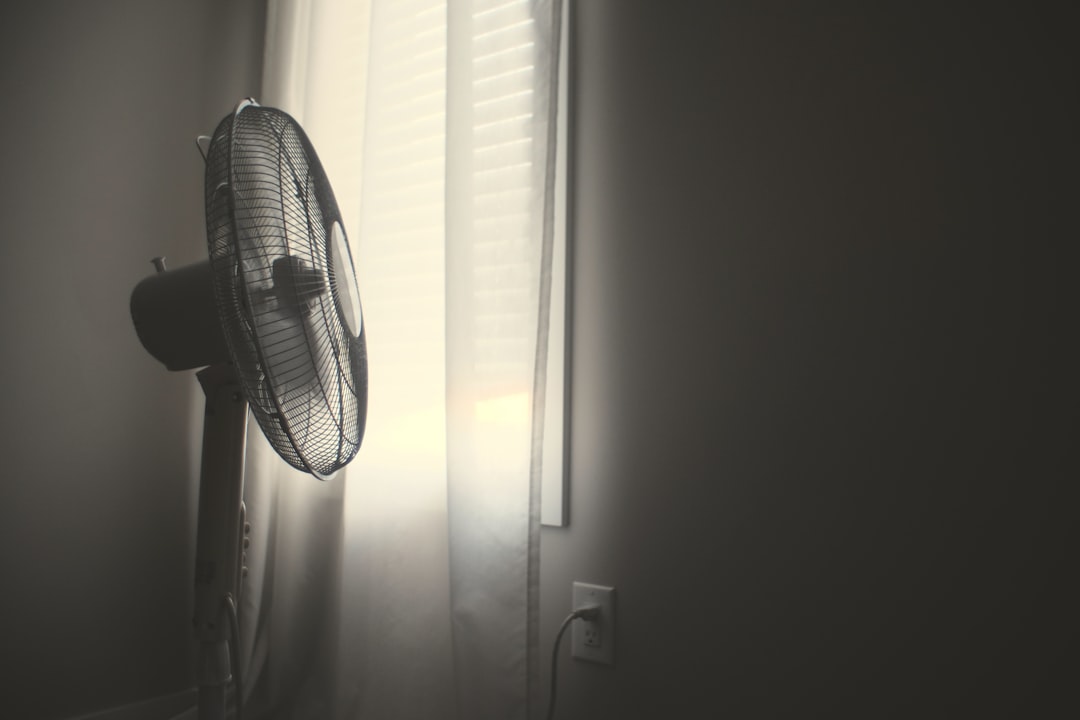 Fan in Bedroom